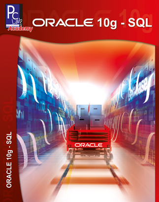 Oracle 10g